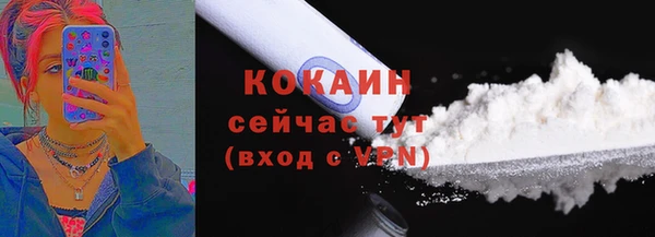 дурь Пестово