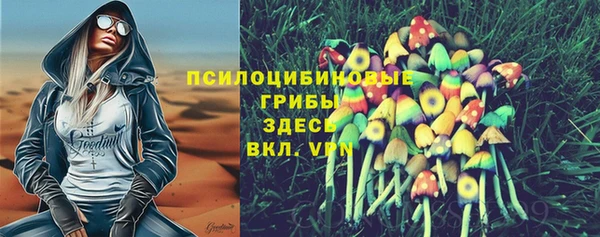 не бодяженный Переславль-Залесский