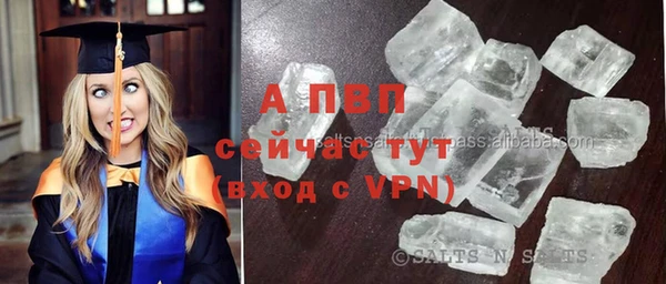 дурь Пестово