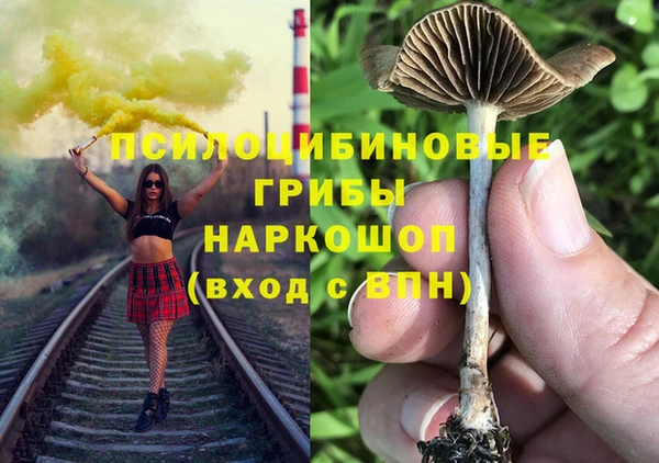 не бодяженный Переславль-Залесский