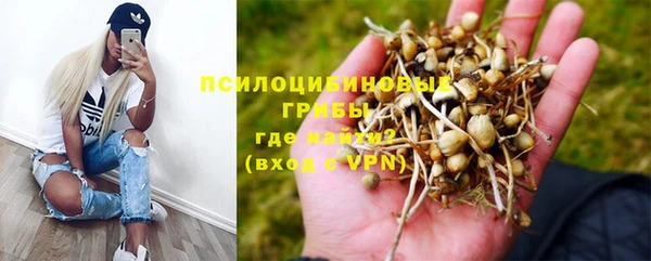дурь Пестово