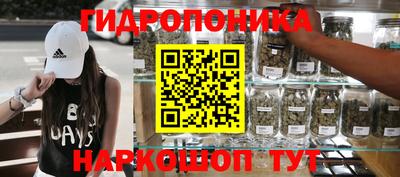 сатива Славгород