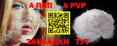 сатива Славгород