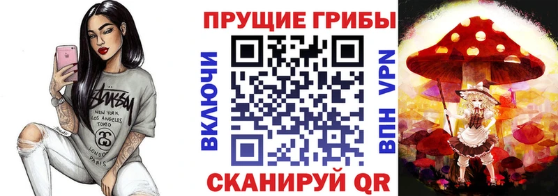 Псилоцибиновые грибы GOLDEN TEACHER  магазин  наркотиков  Сорочинск 
