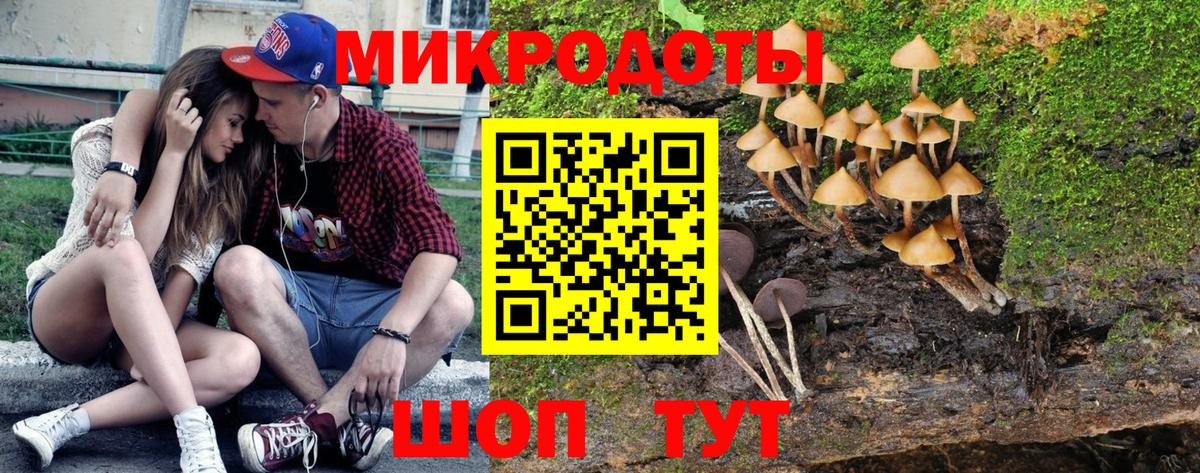 Псилоцибиновые грибы Cubensis Сорочинск