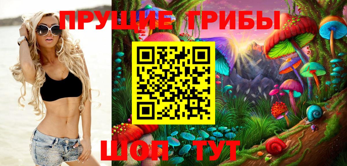 Сорочинск  Галлюциногенные грибы Cubensis  Вход с VPN 