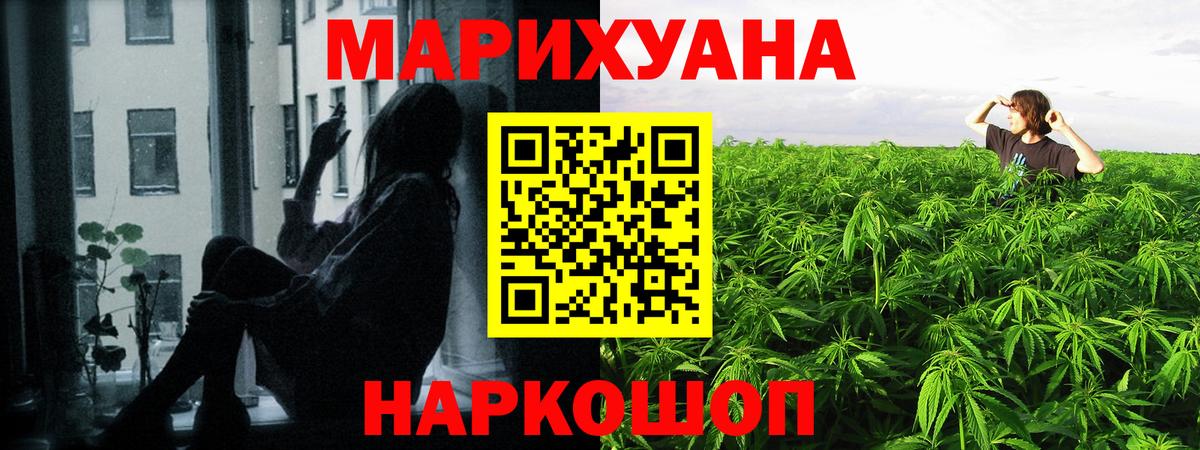 Конопля планчик Сорочинск